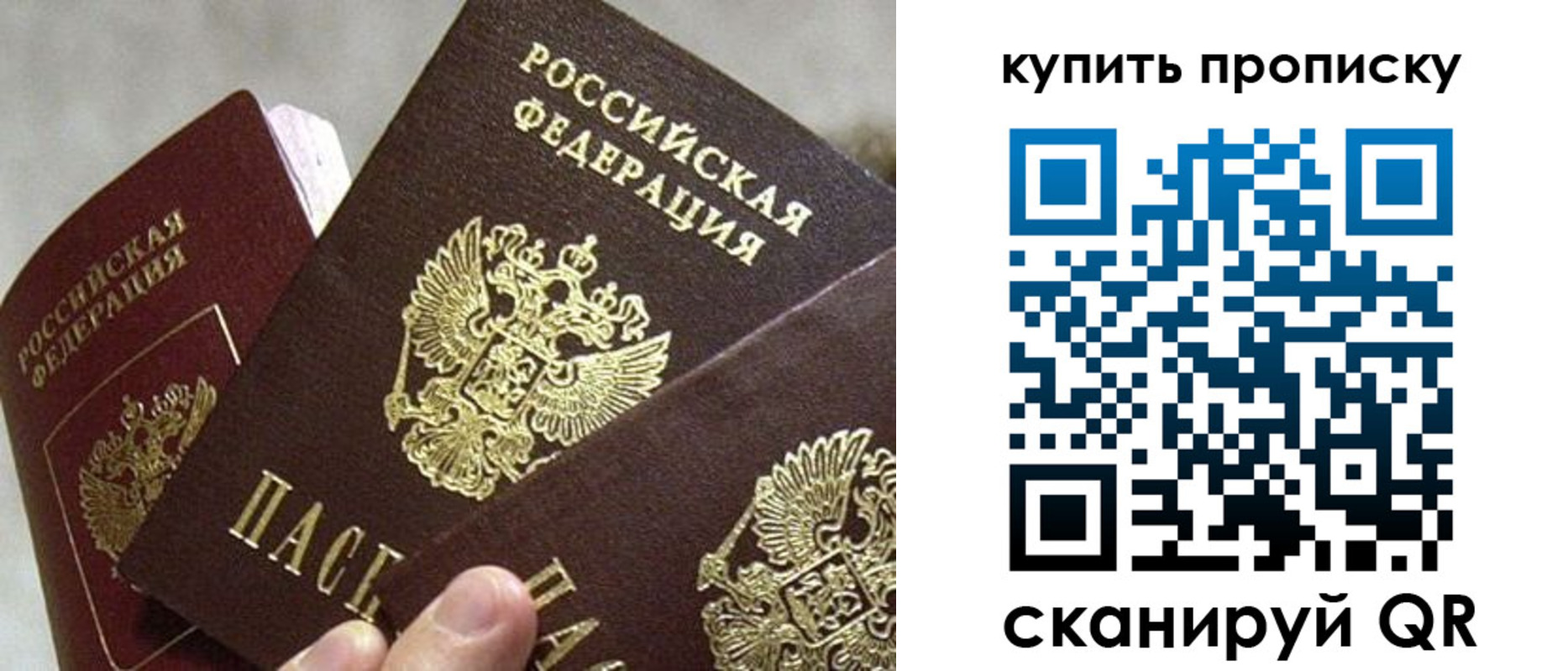 прописка для школы в Заречном